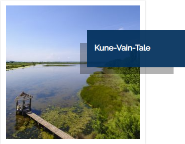 Kune-Vain-Tale